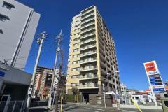 1957373871_640x640_444444